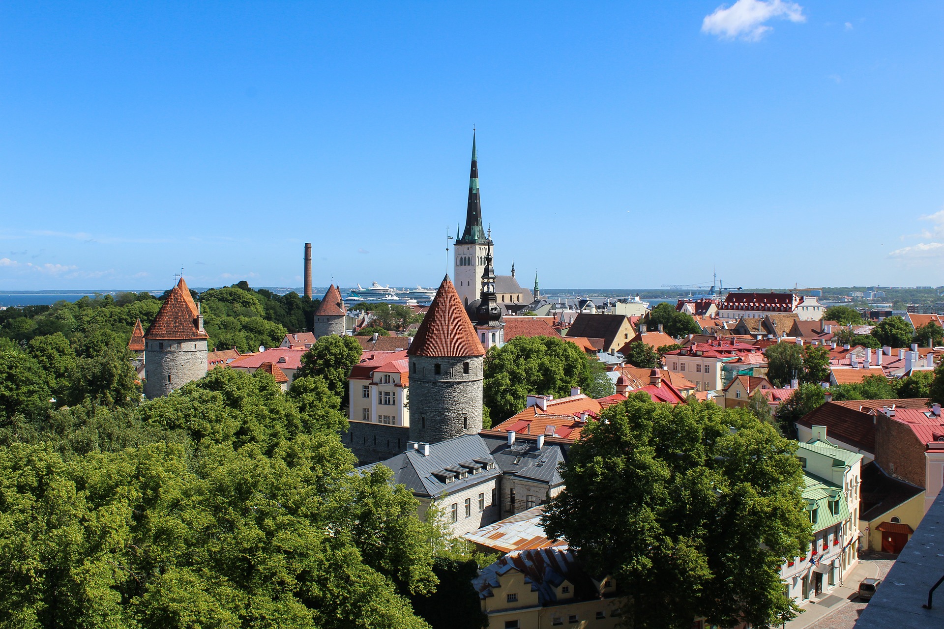 Tallinn Altstadt von oben
