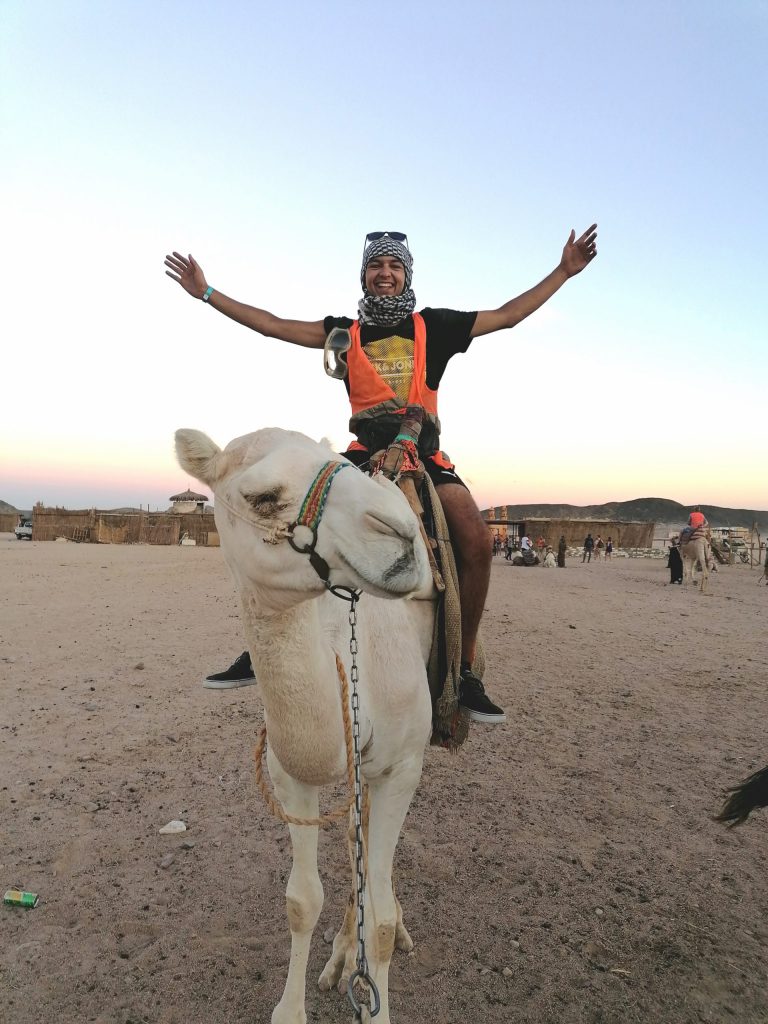 Ägypten auf dem Kamel entdecken