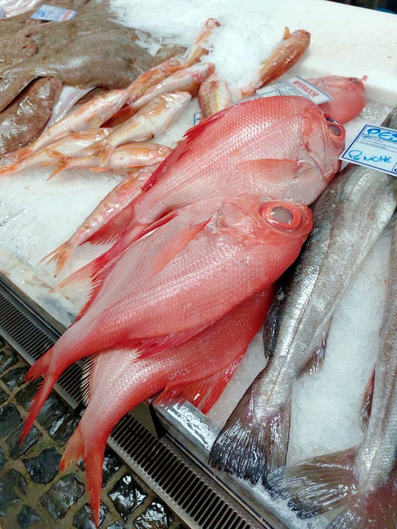 Fisch auf dem Fischmarkt Mercado do Livramento Portugal